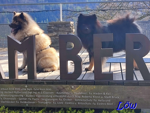 19.4.2025 - Kulturfolger